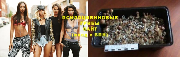 не бодяженный Алзамай