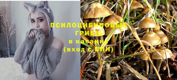 бошки Россошь