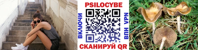 Галлюциногенные грибы прущие грибы  сайты даркнета клад  Богородицк 